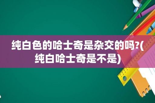 纯白色的哈士奇是杂交的吗?(纯白哈士奇是不是)