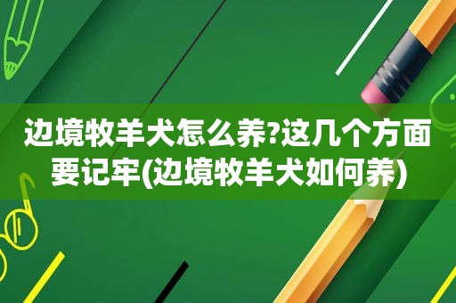 边境牧羊犬怎么养?这几个方面要记牢(边境牧羊犬如何养)