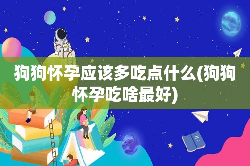 狗狗怀孕应该多吃点什么(狗狗怀孕吃啥最好)