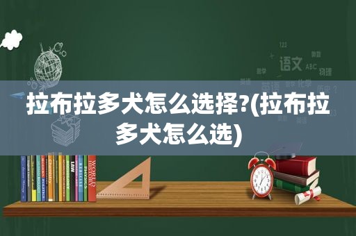 拉布拉多犬怎么选择?(拉布拉多犬怎么选)