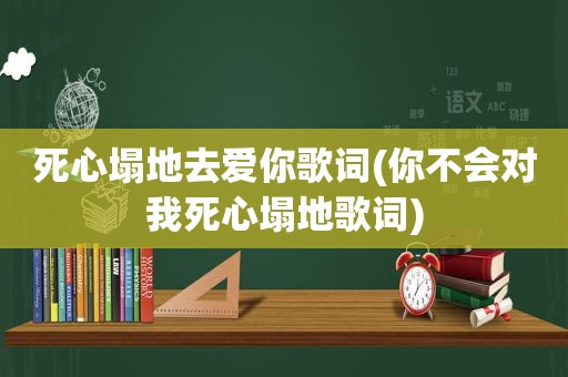 死心塌地去爱你歌词(你不会对我死心塌地歌词)