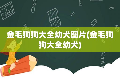 金毛狗狗大全幼犬图片(金毛狗狗大全幼犬)