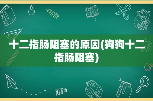 十二指肠阻塞的原因(狗狗十二指肠阻塞)