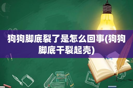 狗狗脚底裂了是怎么回事(狗狗脚底干裂起壳)