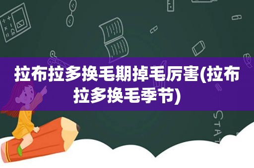 拉布拉多换毛期掉毛厉害(拉布拉多换毛季节)