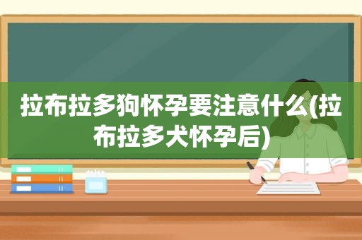 拉布拉多狗怀孕要注意什么(拉布拉多犬怀孕后)