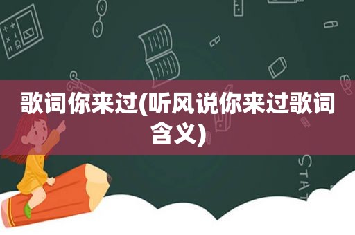 歌词你来过(听风说你来过歌词含义)