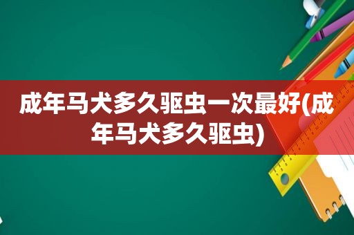 成年马犬多久驱虫一次最好(成年马犬多久驱虫)