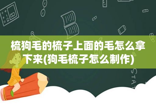 梳狗毛的梳子上面的毛怎么拿下来(狗毛梳子怎么制作)