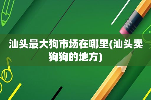 汕头最大狗市场在哪里(汕头卖狗狗的地方)