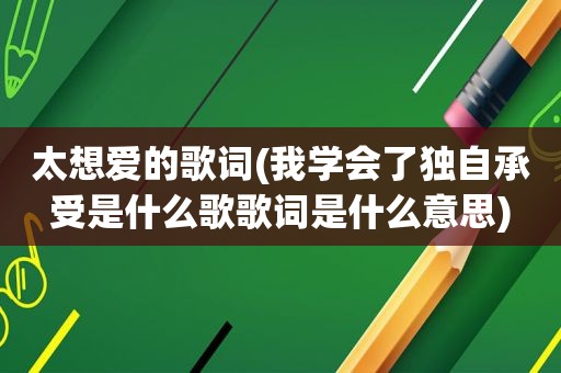 太想爱的歌词(我学会了独自承受是什么歌歌词是什么意思)