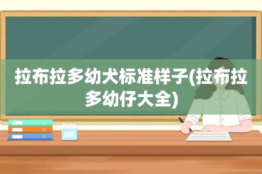 拉布拉多幼犬标准样子(拉布拉多幼仔大全)