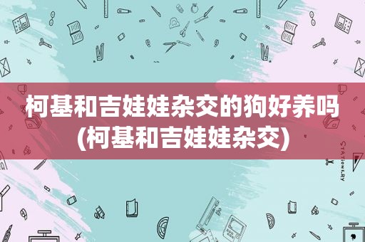 柯基和吉娃娃杂交的狗好养吗(柯基和吉娃娃杂交)