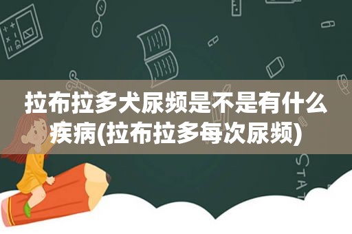 拉布拉多犬尿频是不是有什么疾病(拉布拉多每次尿频)