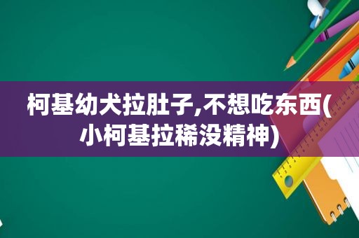 柯基幼犬拉肚子,不想吃东西(小柯基拉稀没精神)