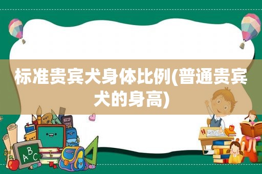 标准贵宾犬身体比例(普通贵宾犬的身高)