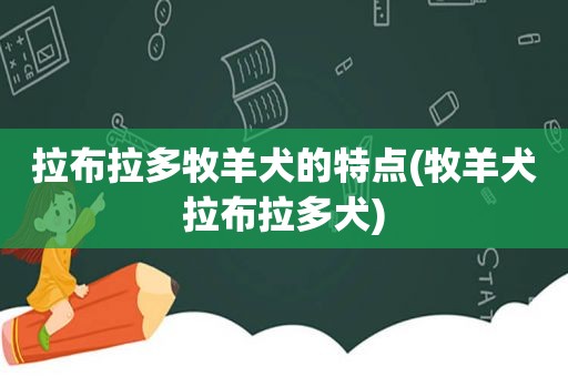 拉布拉多牧羊犬的特点(牧羊犬拉布拉多犬)