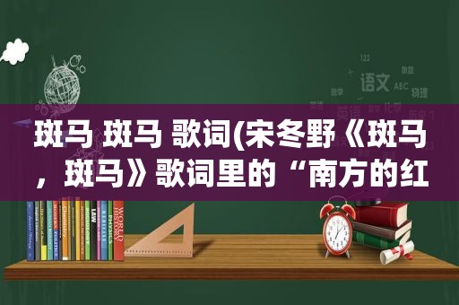 斑马 斑马 歌词(宋冬野《斑马，斑马》歌词里的“南方的红色”有什么含义)