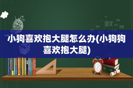 小狗喜欢抱大腿怎么办(小狗狗喜欢抱大腿)