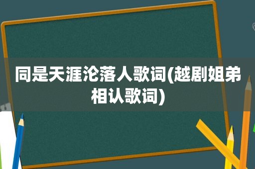 同是天涯沦落人歌词(越剧姐弟相认歌词)