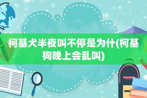 柯基犬半夜叫不停是为什(柯基狗晚上会乱叫)