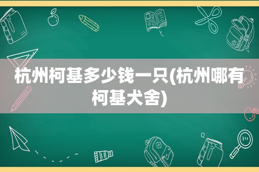 杭州柯基多少钱一只(杭州哪有柯基犬舍)