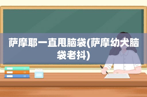 萨摩耶一直甩脑袋(萨摩幼犬脑袋老抖)