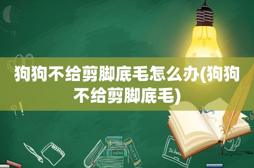 狗狗不给剪脚底毛怎么办(狗狗不给剪脚底毛)