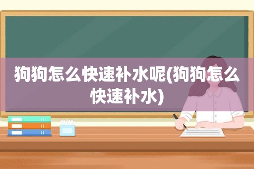 狗狗怎么快速补水呢(狗狗怎么快速补水)