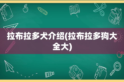 拉布拉多犬介绍(拉布拉多狗大全大)