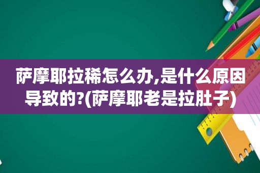 萨摩耶拉稀怎么办,是什么原因导致的?(萨摩耶老是拉肚子)