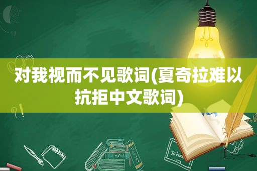 对我视而不见歌词(夏奇拉难以抗拒中文歌词)