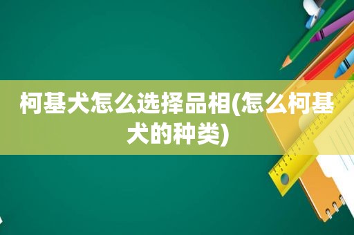 柯基犬怎么选择品相(怎么柯基犬的种类)