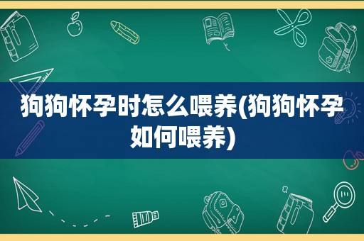 狗狗怀孕时怎么喂养(狗狗怀孕如何喂养)