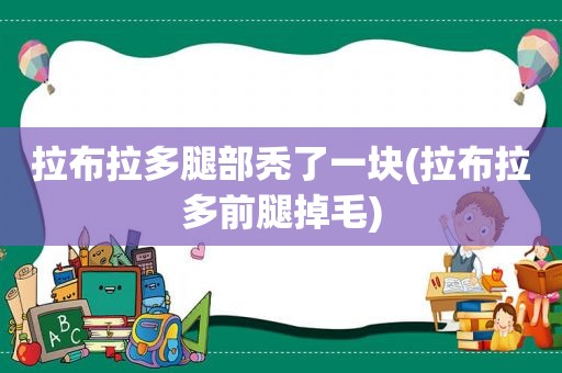 拉布拉多腿部秃了一块(拉布拉多前腿掉毛)