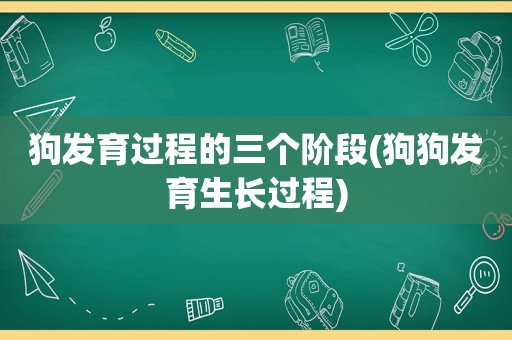 狗发育过程的三个阶段(狗狗发育生长过程)