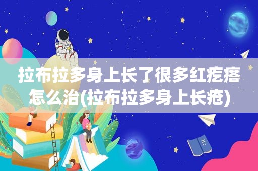 拉布拉多身上长了很多红疙瘩怎么治(拉布拉多身上长疮)