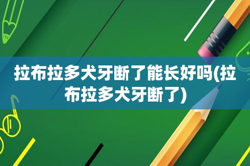 拉布拉多犬牙断了能长好吗(拉布拉多犬牙断了)