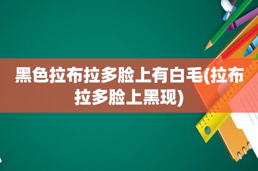 黑色拉布拉多脸上有白毛(拉布拉多脸上黑现)