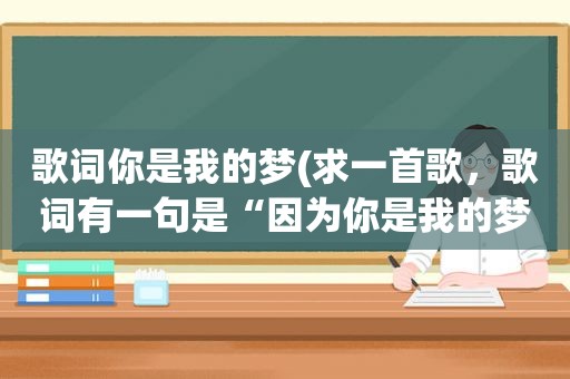 歌词你是我的梦(求一首歌，歌词有一句是“因为你是我的梦”)