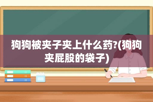 狗狗被夹子夹上什么药?(狗狗夹 *** 的袋子)