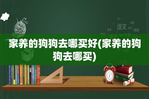 家养的狗狗去哪买好(家养的狗狗去哪买)