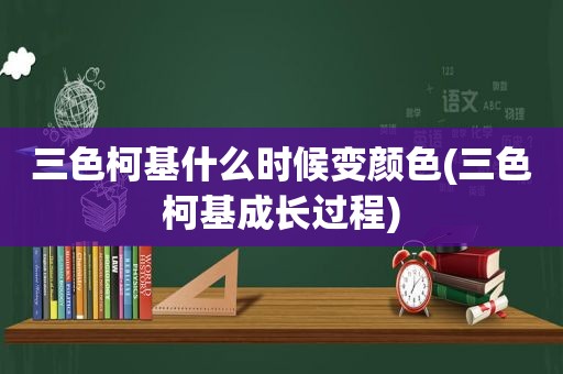 三色柯基什么时候变颜色(三色柯基成长过程)