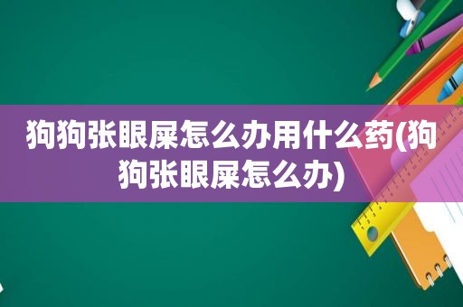 狗狗张眼屎怎么办用什么药(狗狗张眼屎怎么办)