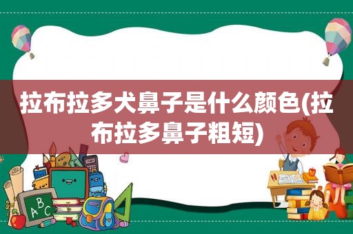 拉布拉多犬鼻子是什么颜色(拉布拉多鼻子粗短)