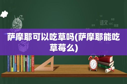 萨摩耶可以吃草吗(萨摩耶能吃草莓么)