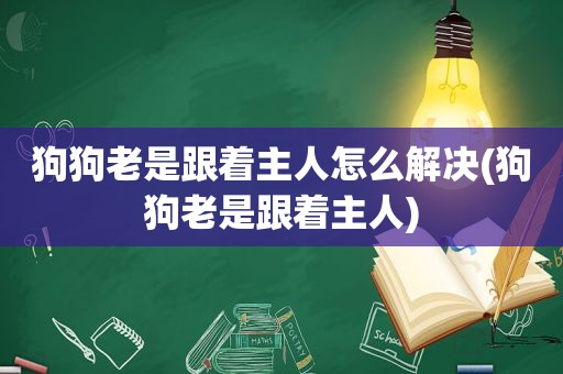 狗狗老是跟着主人怎么解决(狗狗老是跟着主人)