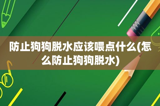 防止狗狗脱水应该喂点什么(怎么防止狗狗脱水)