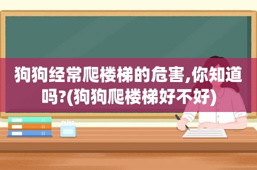 狗狗经常爬楼梯的危害,你知道吗?(狗狗爬楼梯好不好)