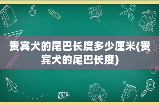 贵宾犬的尾巴长度多少厘米(贵宾犬的尾巴长度)